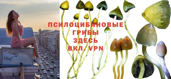 бутират Алексин