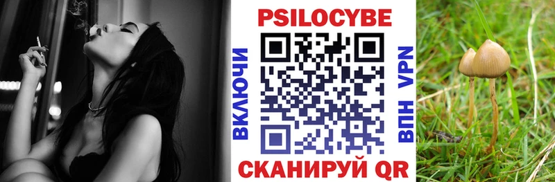 Галлюциногенные грибы мухоморы  omg сайт  Дудинка  где купить наркотик 
